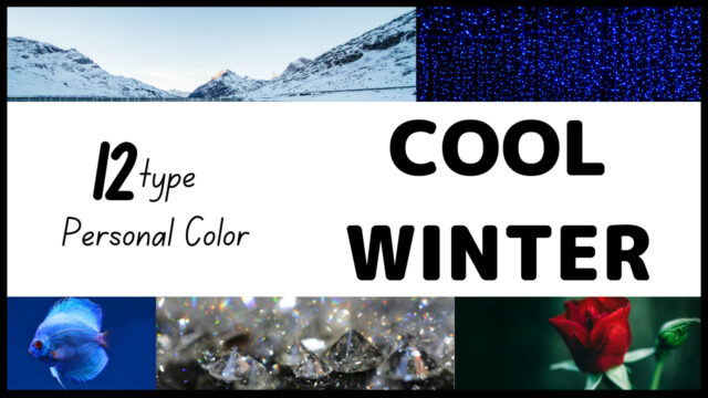 パーソナルカラー診断12タイプ分類 クールウィンターの特徴 パーソナルカラー 骨格診断のリュクスエモード Luxe Et Mode